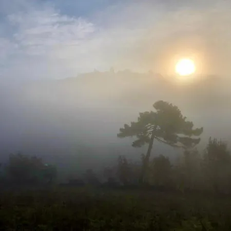 La Castellina וילה